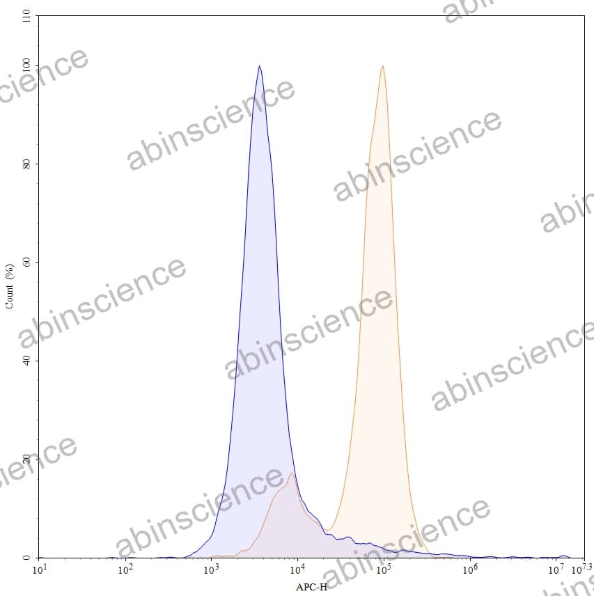 Anti-Human CD66e/CEA/CEACAM5 Antibody (MN14), APC