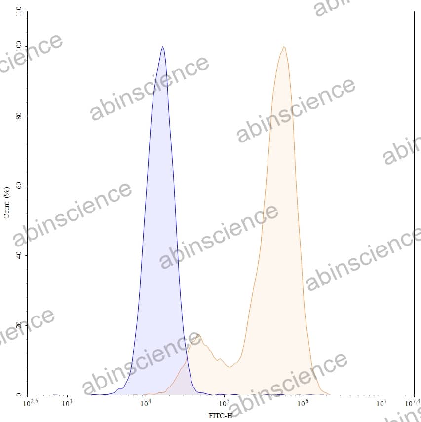 Anti-Human CD66e/CEA/CEACAM5 Antibody (RG7813), FITC