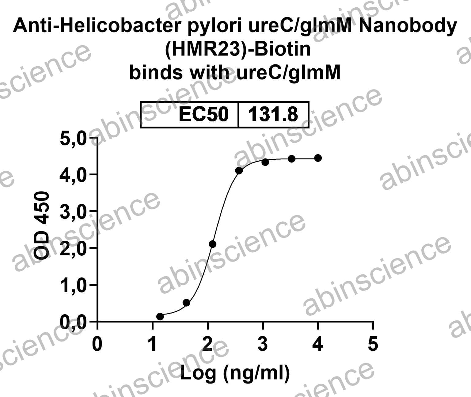 Anti-Helicobacter pylori ureC/glmM Nanobody (HMR23)
