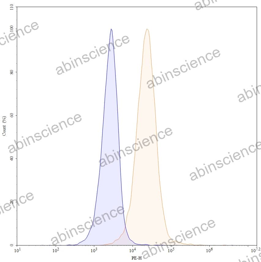 Anti-Mouse CD274/PD-L1/B7-H1 Antibody (SAA0359), PE