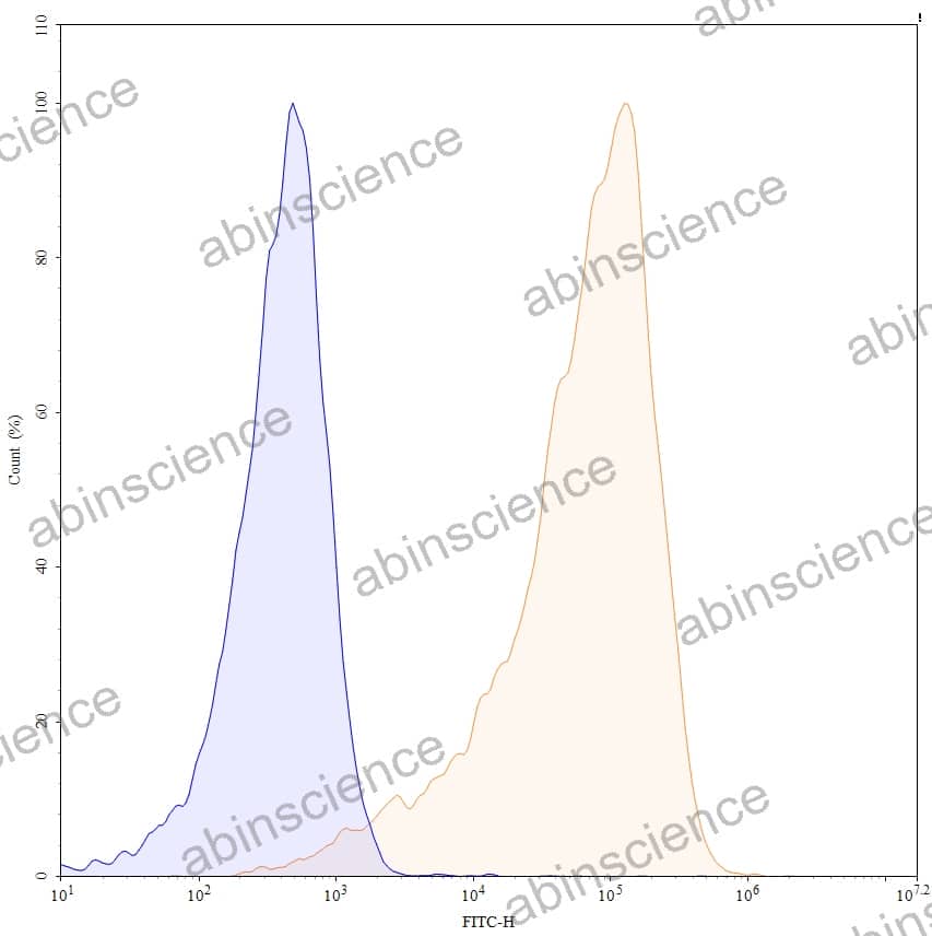 Anti-Red Blood Cells antibody(34-3C)